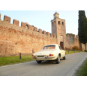 Escape trasero en acero inox Ragazzon Alfa Romeo Duetto / Spider 1° SERIE - 1.6 (109CV) 'OSSO DI SEPPIA' 1966 - 1968 Ragazzon
