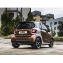 Silencioso trasero en acero inox Ragazzon SMART FORTWO 0.9 (66KW) 2014 - Hoy